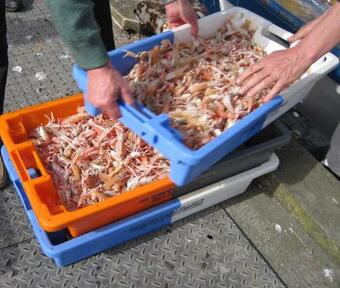 Bed & Breakfast Kermarco