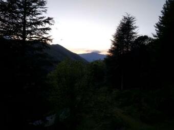 Bed & Breakfast Pura Vida