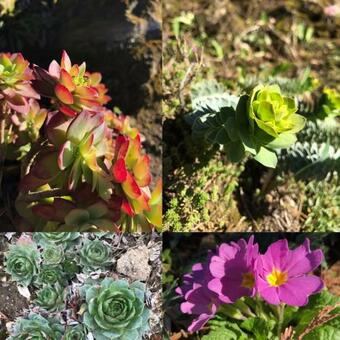 Apartamento Gite Pasquier