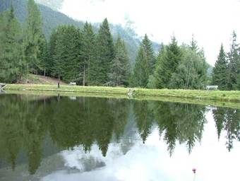 Hostal Wirtshaus Zum Wiesejaggl