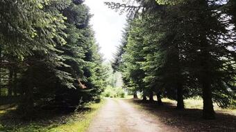 Bed & Breakfast Le Clos Des �cureuils