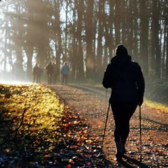 Agroturismo Studio Du Gite