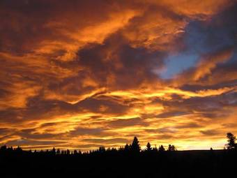 Bed & Breakfast Marie Therese B & B