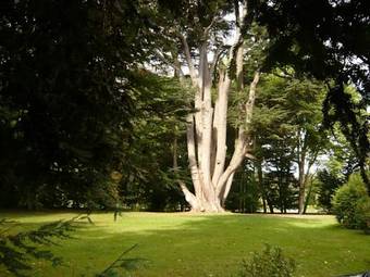 Bed & Breakfast Manoir De La Voute