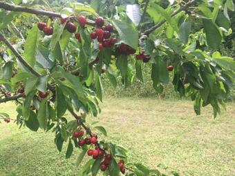 Bed & Breakfast La Grange Aux Dames