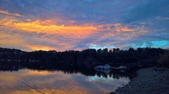 Les Foug�res Du Lac