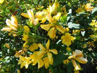 Hostal Au Pied Lev�