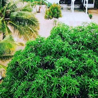 Hotel African Treasure Beach Resort