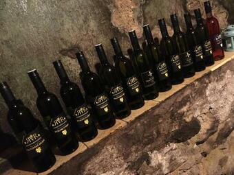 Ubytov�n� Nad Skl�pkem V ?atov?