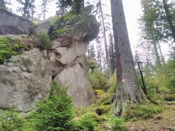 H�jenka Ovesn� Na ?umav?