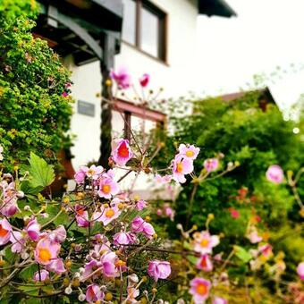 Apartamento Ferienwohnung Berges