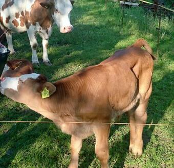 Agroturismo Ferienwohnung Herpich