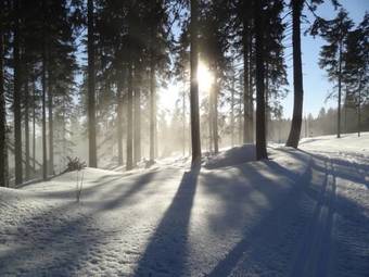 Apartamento Ferienwohnung Fritz