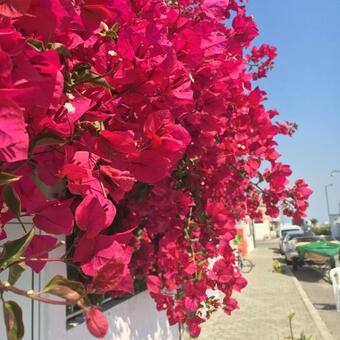 Apartamento Anita House Portugal