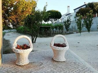 Agroturismo Casa Agr�cola Dos Av�s