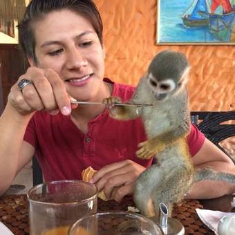 Bed & Breakfast Hoster�a Ecol�gica El Faro