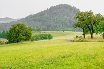 Lodge Treehouse Pod Jestedem
