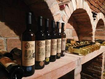 Vinn� Sklep A Ubytov�n� U Rebend?