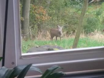 Apartamento Byt Kn??ice U Vrchlab�