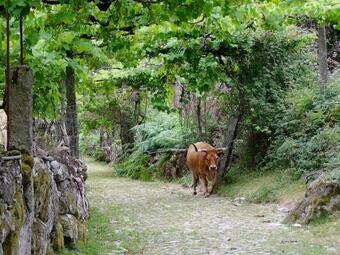 Lodge Casa Do Assento - Caminho
