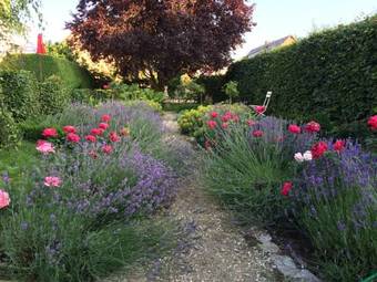 Apartamento "vogelhochzeit"
