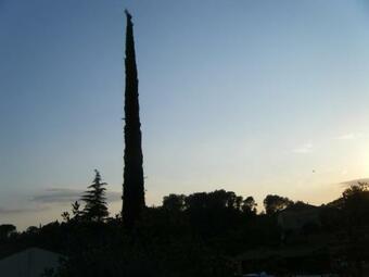 La Maisonnette Dans Son Jardin