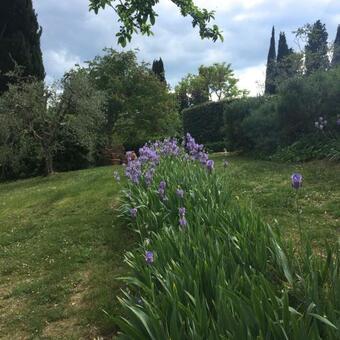 Palagetto Di Settignano