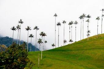 Hotel Camino Nacional Salento