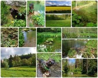 Apartamentos Ferienhaus Unteres Hart