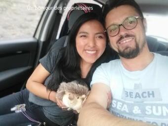 Maison 6/8 Personnes � 5km Du Puy Du Fou