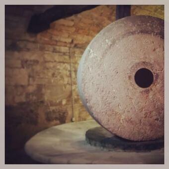 Bed & Breakfast Frantoio Nin�