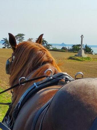 Bed & Breakfast Chez Jollyjune Ferme Equestre Des Courlis