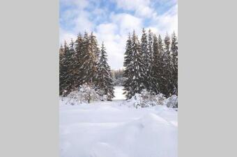 G�te De La Montagne D'ance