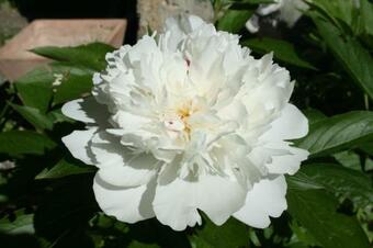 Hostal Le Domaine Des Rouges Queues