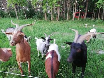 Bed & Breakfast Des Branches & Vous