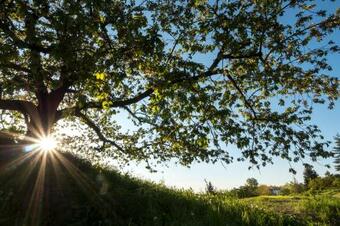 Bed & Breakfast Sotto I Sassi