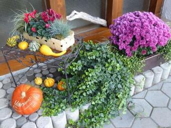 Apartamento Ferienwohnung S�ntisblick