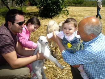 Agroturismo Agriturismo Frantoio Mafrica