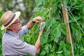 Contrada Miotti - Casa Di Bortoleto