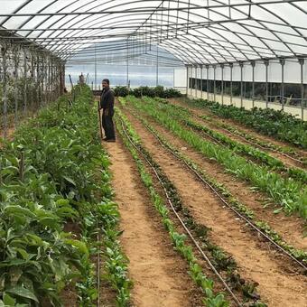 Agroturismo Agriturismo Pingitore