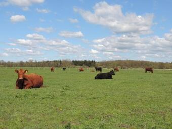 Apartamento Ferienwohnung Rot