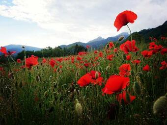 Bed & Breakfast Le Sorgive