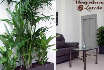 Hostal Hospederia Laredo