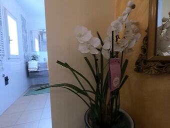 Hostal La Casetta Narni