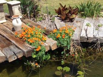 Harmony Bed & Breakfast