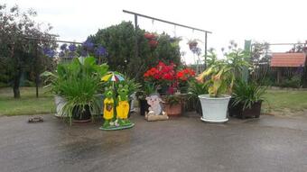 Apartamento Ferienwohnung Junghanns