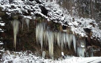 Apartamento Ferienwohnung Bergblick