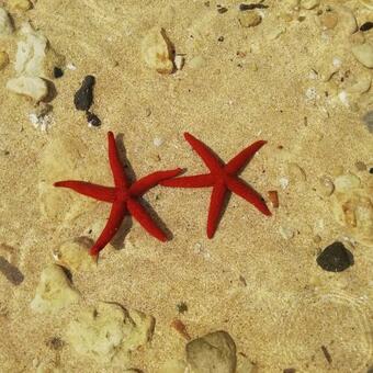 Apartamento Appartamento Joanna