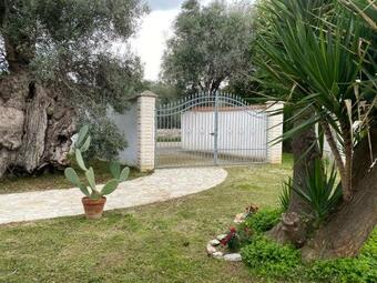 Apartamento Case Vacanze ?gli Ulivi?