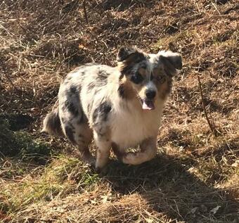 Apartamento Ferienwohnung Lippert